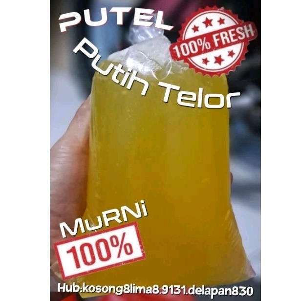 

PUTIH TELOR FRESH 100% MURNI/SELALU READY (KONFIRMASI STOCK DULU YACH..!!)