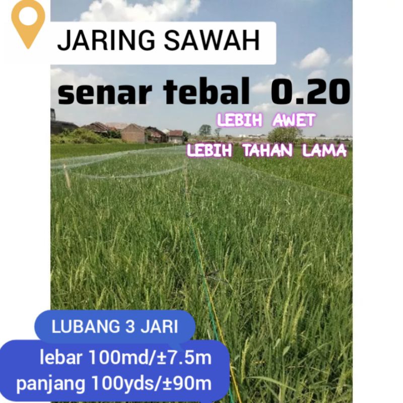 jaring burung jaring sawah senar tebal 0.20 jaring padi jaring  pengaman padi jaring burung jaring s