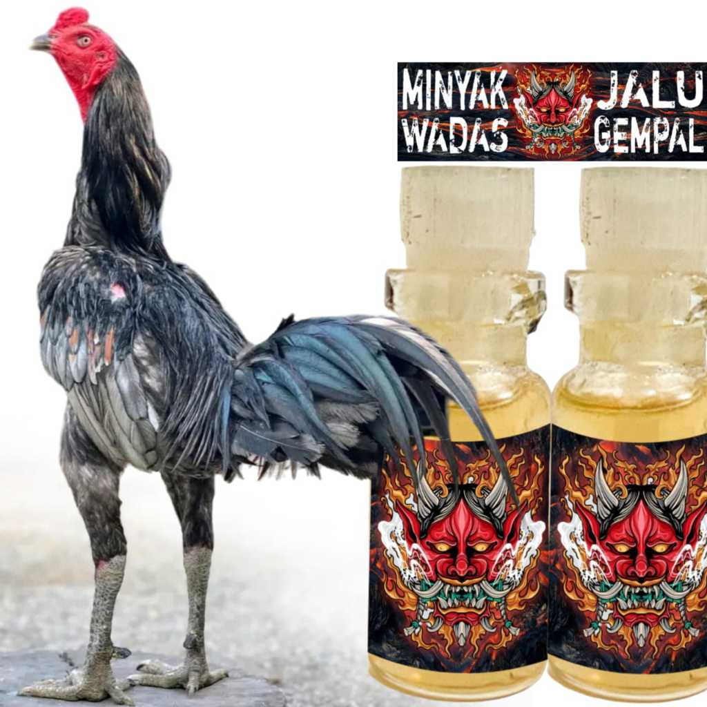 minyak jalu wadas gempal ayam bangkok super