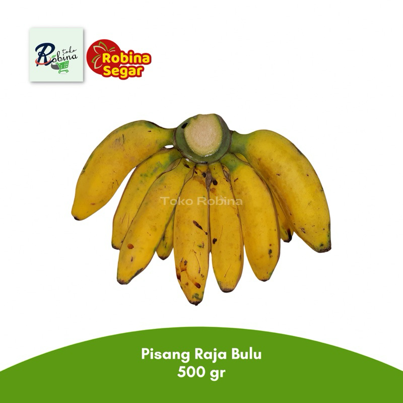 

Pisang Raja Pisang buat Aneka Olahan 500 gr