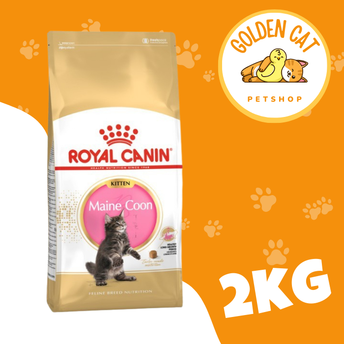 Royal Canin Maine Coon Kitten 2kg