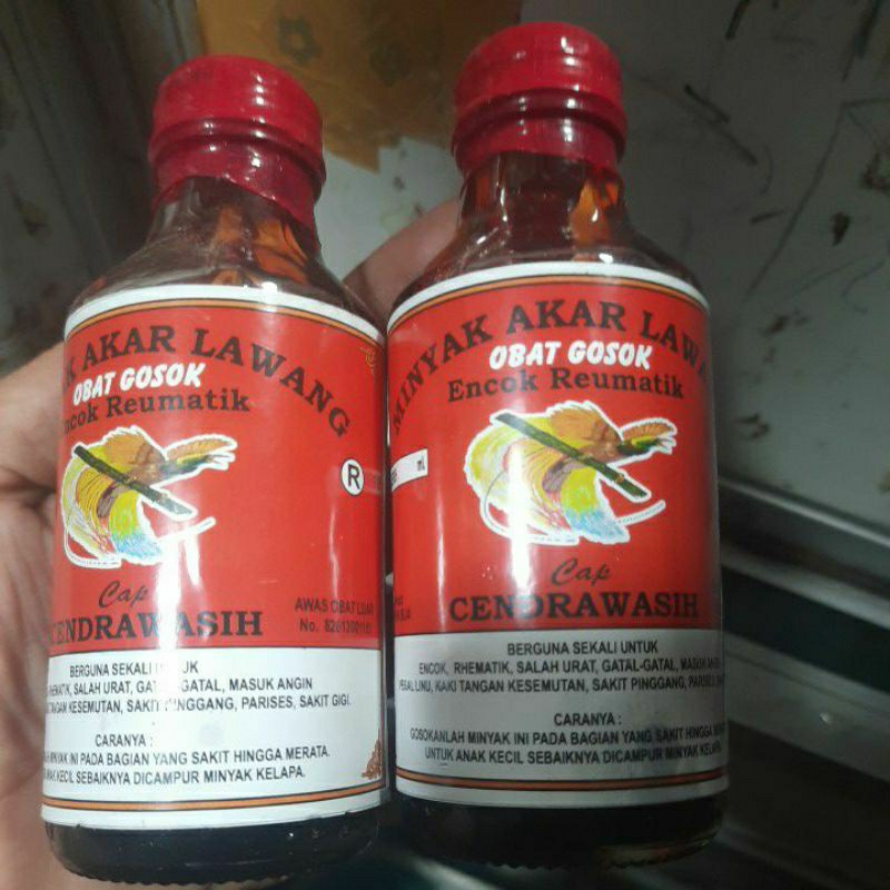 minyak urut akar lawang asli kalimantan