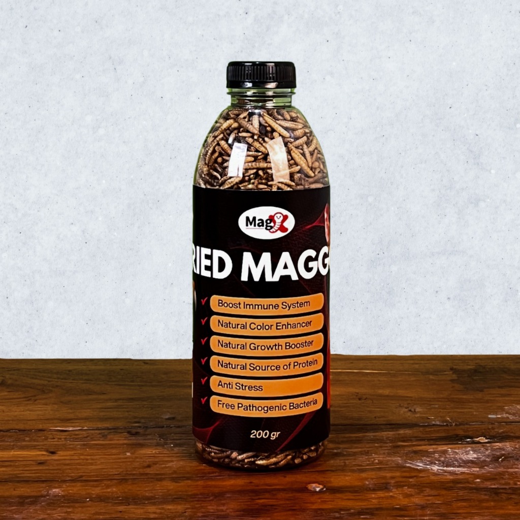 Magx Maggot Kering 200GR Maggot BSF Kering Grade A+ Premium