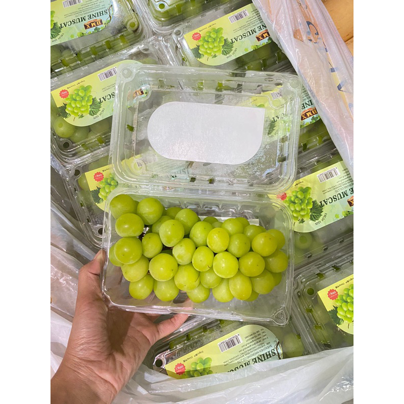 

anggur shine muscat import 500 gram kenyal manis