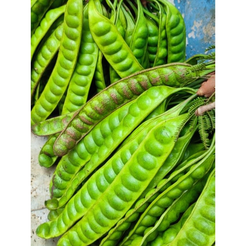 

petai sumedang