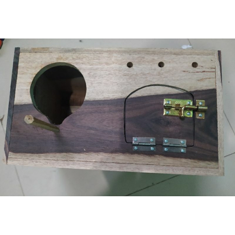 Glodok Falk Parkit Australia Pangkringan Stick Kayu Pintu Pantau Depan dengan Engsel dan Grendel Man