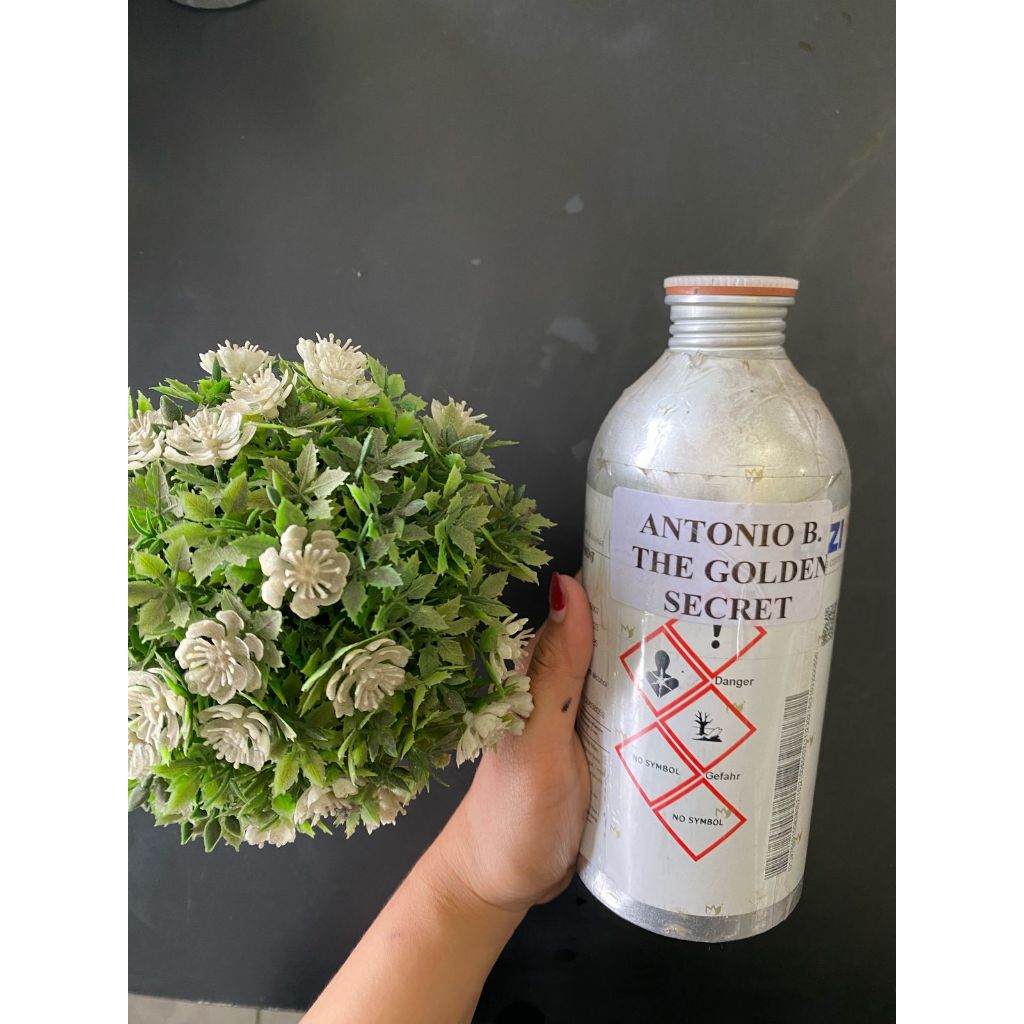 THE GOLDEN BANDIT - ANTONIO BANDERAS G0LDEN SECRET 1GR BY LUZI