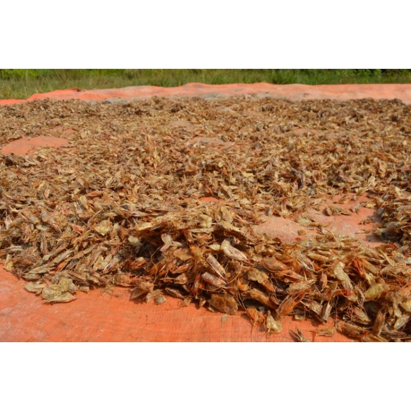 

Limbah Kulit dan Kepala Udang Basah Harga Grosir