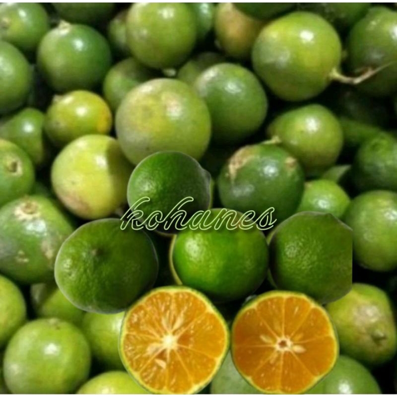 

Jeruk Sonkit Kalimantan fresh - jeruk kunci 500 gr