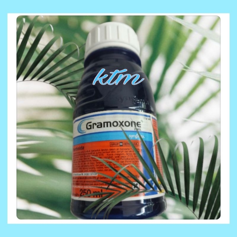 GRAMOXONE250l