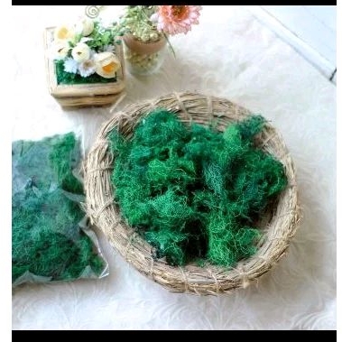 GREEN MOSS RUMPUT SINTETIS ASLI LUMUT KERING untuk dekorasi hantaran/Pot bunga