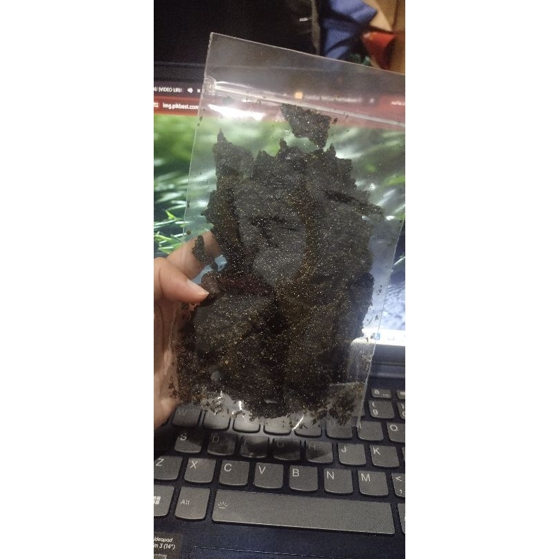 

Rumput laut
