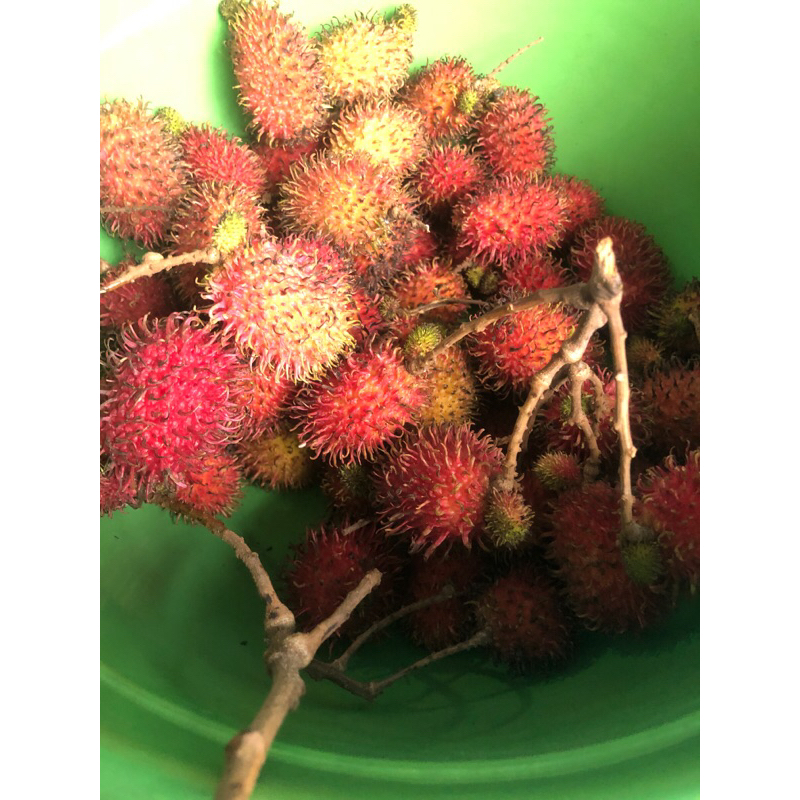 

rambutan