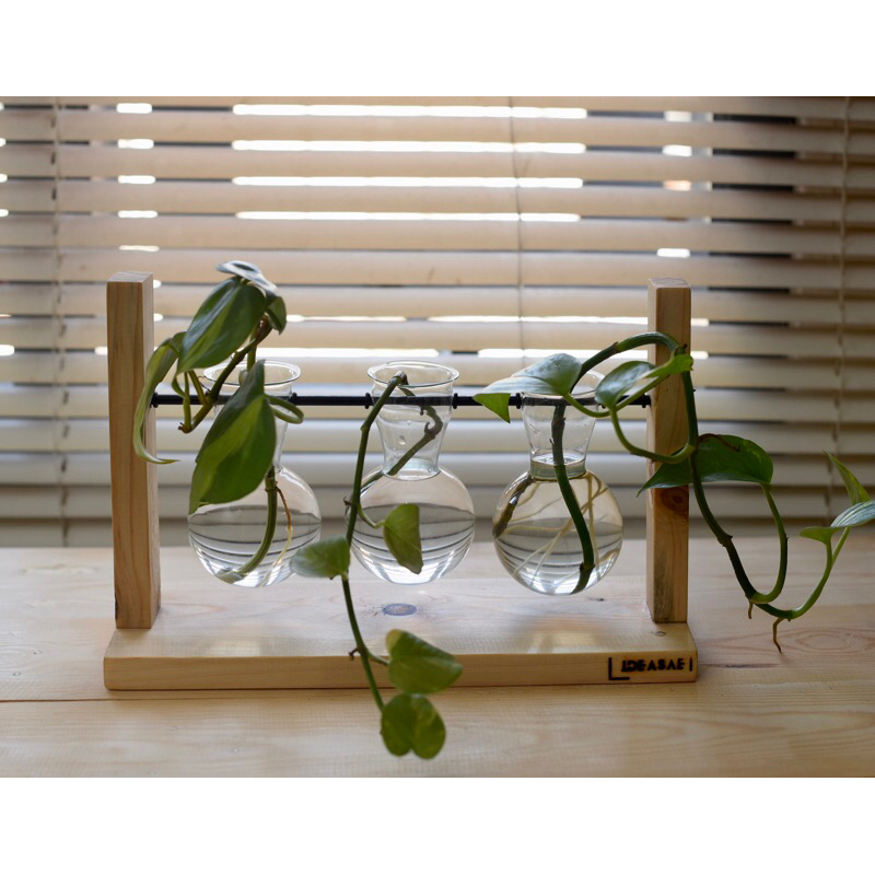 ideasae planter kayu 3 botol kaca | tanaman hias | dekorasi interior | tanaman air | vas bungaa