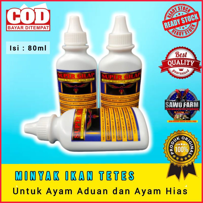 Minyak ikan untuk ayam aduan