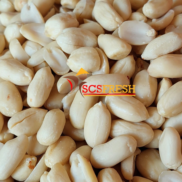 

Kacang Tanah Kupas Ukuran Besar 41/51 Berat 500 Gram