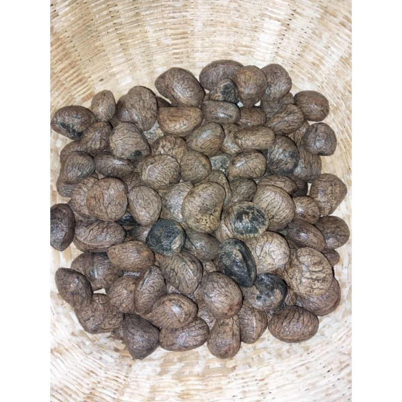 

keluwak kluwak kluwek rawon kepayang keluwek bumbu rawon 500 gram