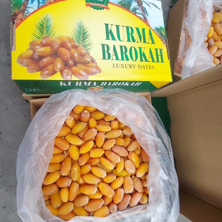 

KURMA RUTHOB KURMA 5kg tangkai/nontangkai FRESH LANGSUNG DARI LIBYA