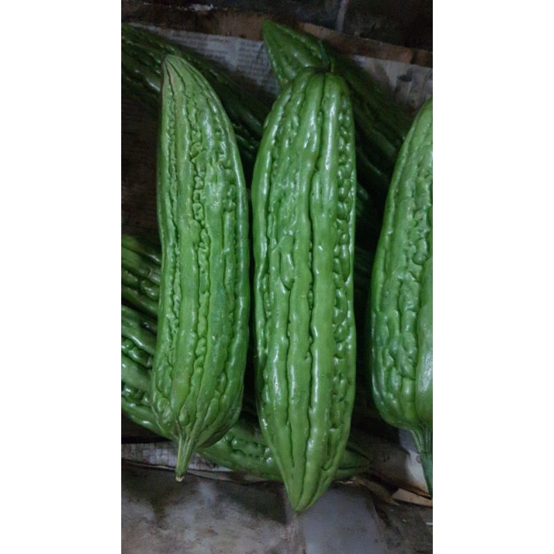 

Sayur Segar Pare (500g)