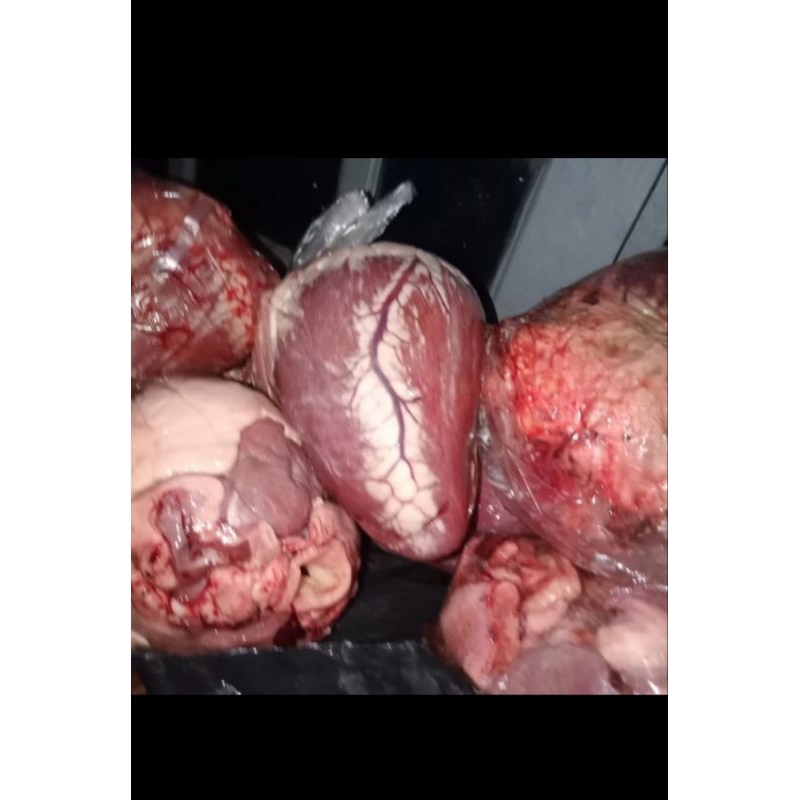 

jantung sapi fresh