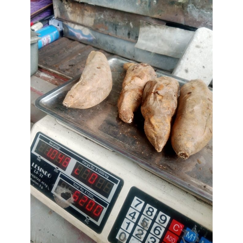 

GR ubi cilembuubi cilembu matang1 besekubi cilembu siap makanubi bandungcemilan bandungjajanan