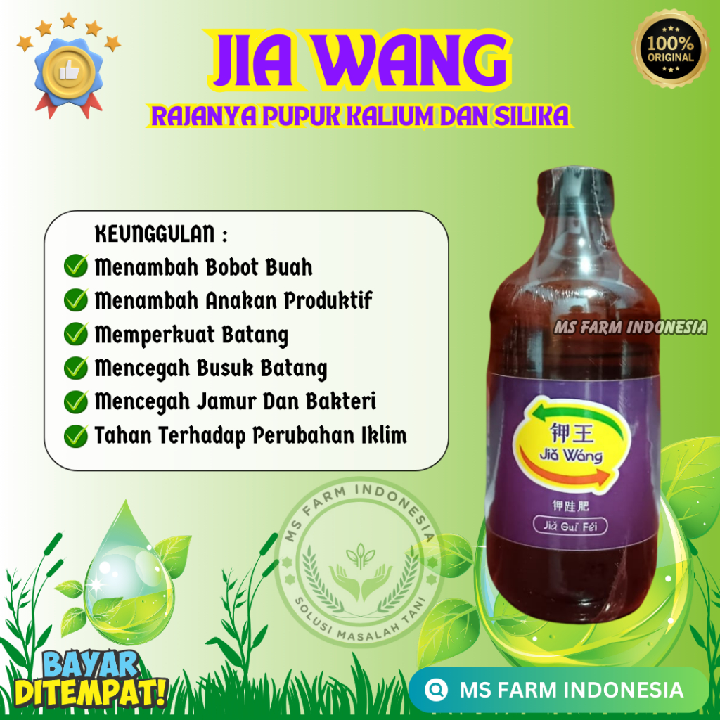 JIA WANG RAJANYA PUPUK KALIUM SILIKA MENAMBAH BOBOT BUAH, MENGATASI PADI ROBOH ,TANAMAN LEBIH KUAT