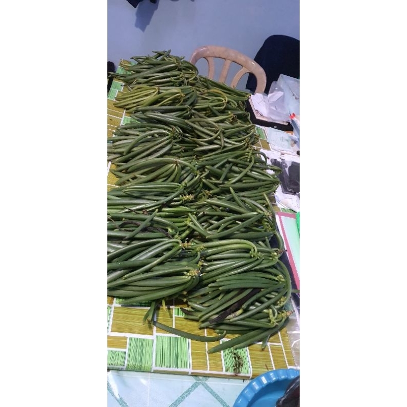 

vanili basah fresh