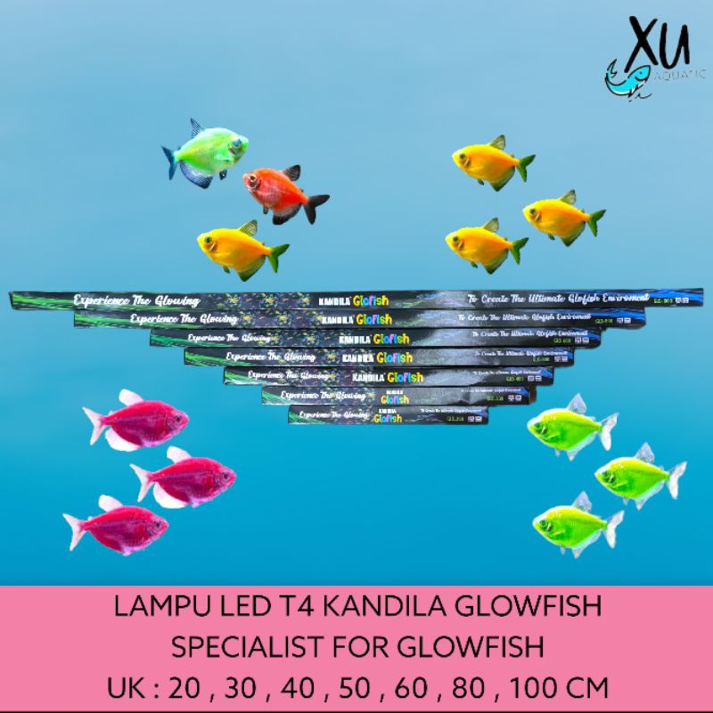 LAMPU CELUP KANDILA LAMPU IKAN GLOFISH LAMPU IKAN WARNA WARNI 200/300/400/500/600/800/1000