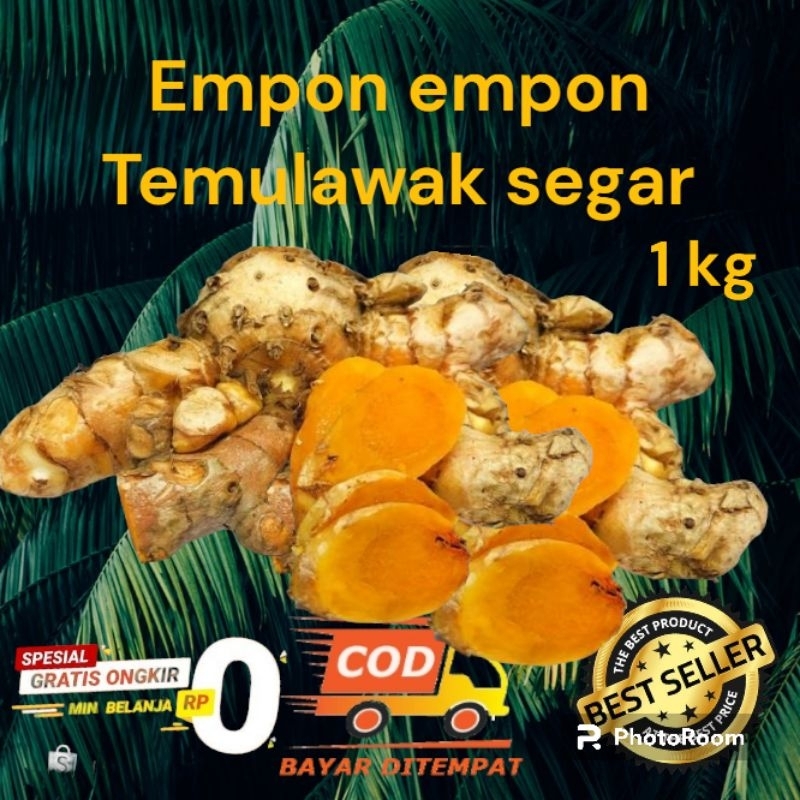 

temulawak segar 1kg empon emon