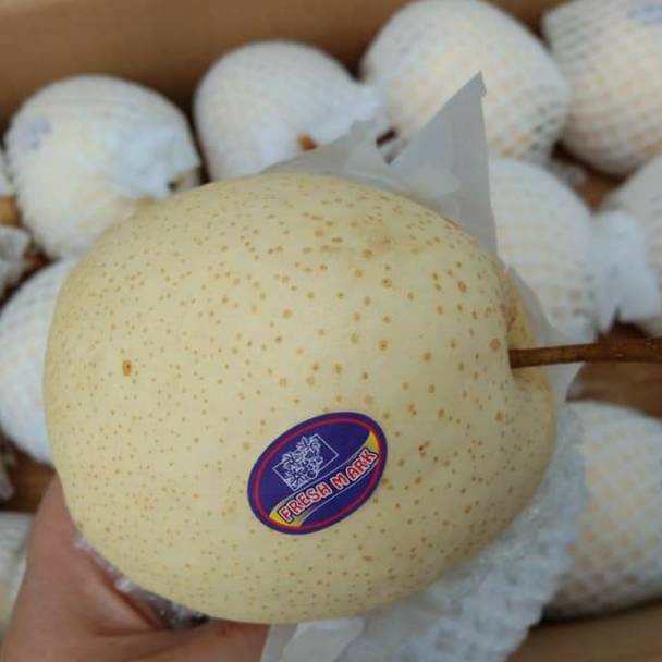 

THR155 Star 66 buah pir madu sweet pear manis 1kg