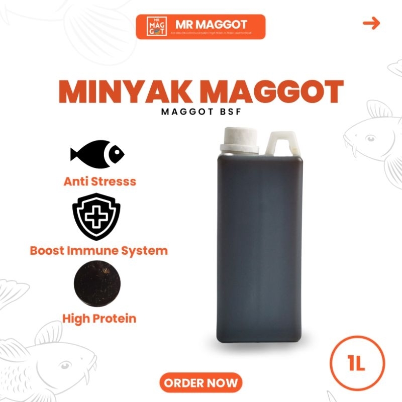 MR MAGGOT - Minyak Maggot Oil / Crude Oil BSF