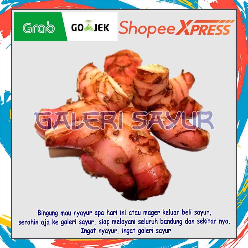 KIRIM INSTAN Lengkuas Laja 1/4 kg dan 1 kg Kualitas Super