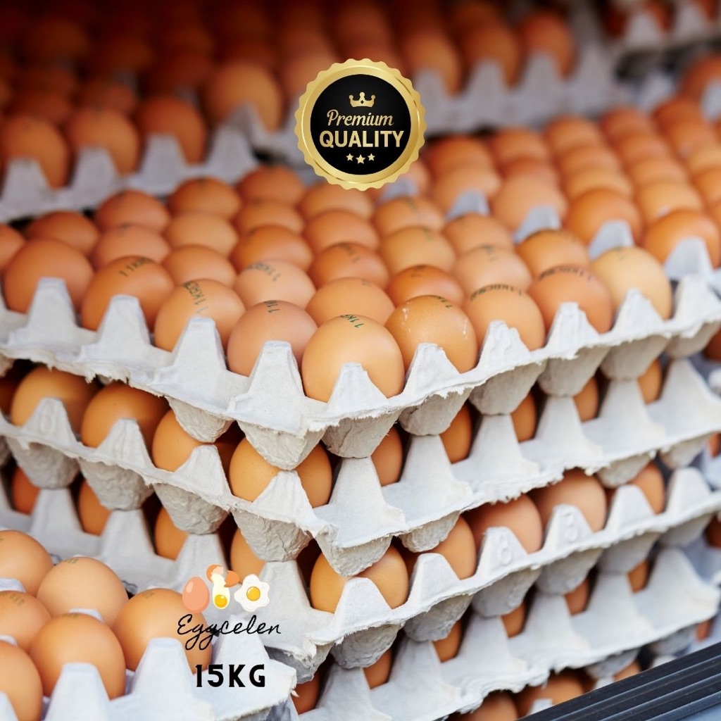 

Telur Ayam Negeri Premium 15 kg Bersih Fresh Grade A kualitas terbaik peternakan langsung