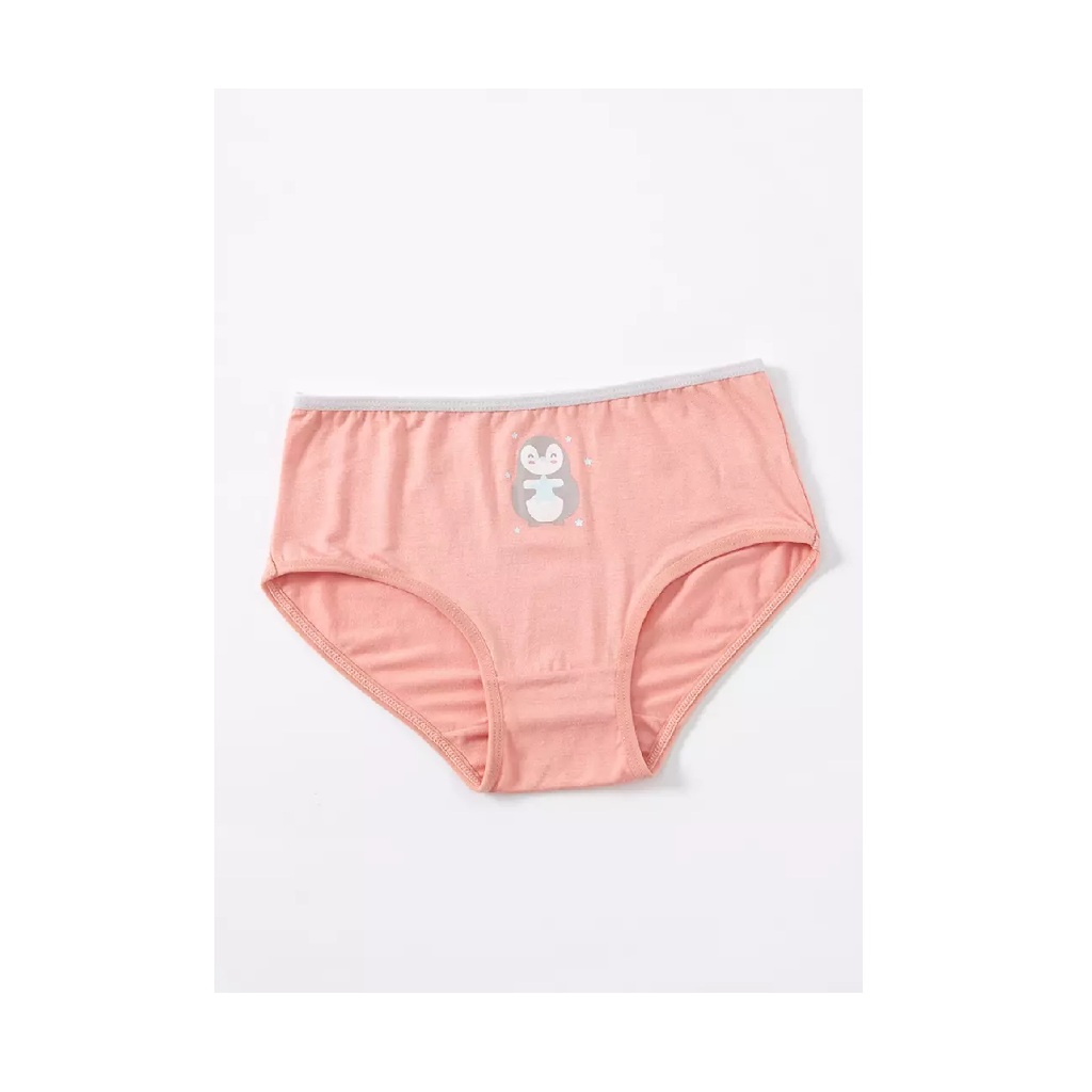 Young Curves Panty Pack Junior Viscose Mini C24-200067MIX