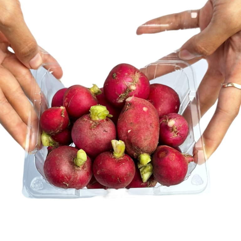 

SAYUR SEGAR - RED RADISH IMPOR SEGAR/ RED REDISH/ LOBAK MERAH