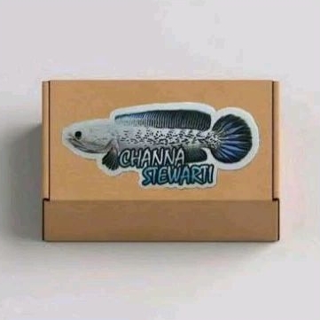 Stewarti cb 6-8 cm fulldot