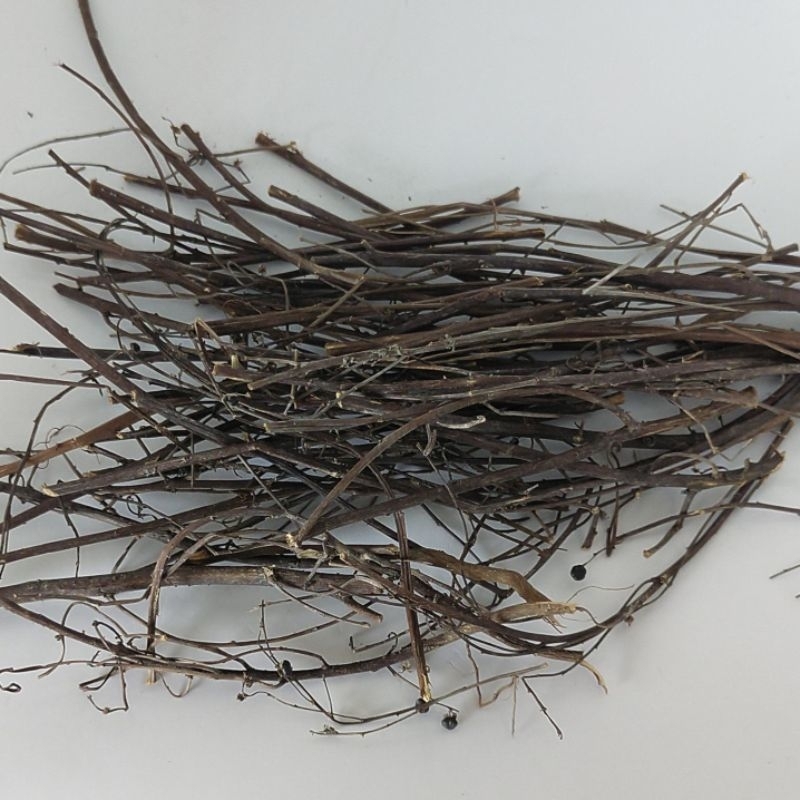 

BATANG ORANG ARING KERING ORIGINAL 1000gr