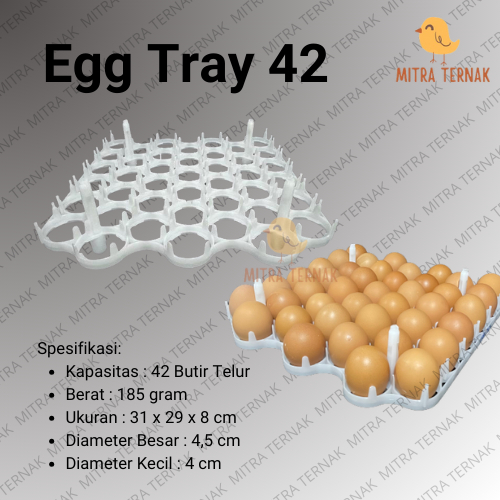 Egg Tray 42 Besar Kecil / Tempat Telur Plastik / Tempat Telur Ayam Layer / Wadah Telur Ayam / Rak Te