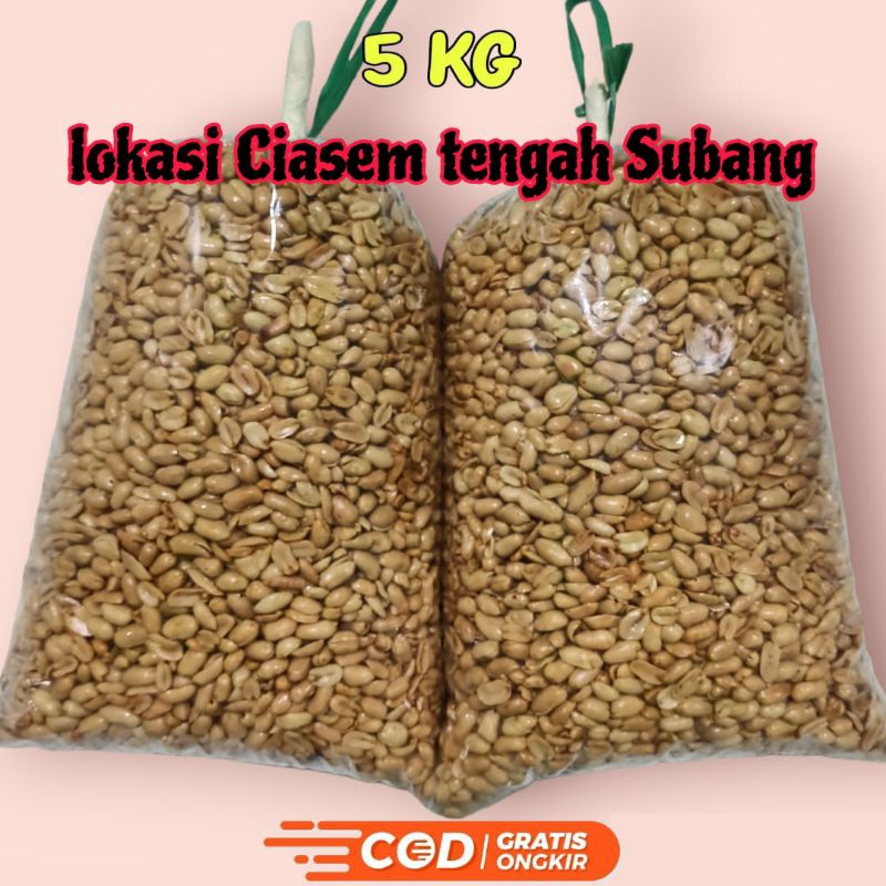 

500g 1000g 5000g KACANG BAWANG GORENG RENYAH GURIH MANIS LOKASI CIASEM TENGAH SUBANG