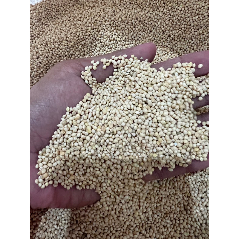 Milet Putih 1kg