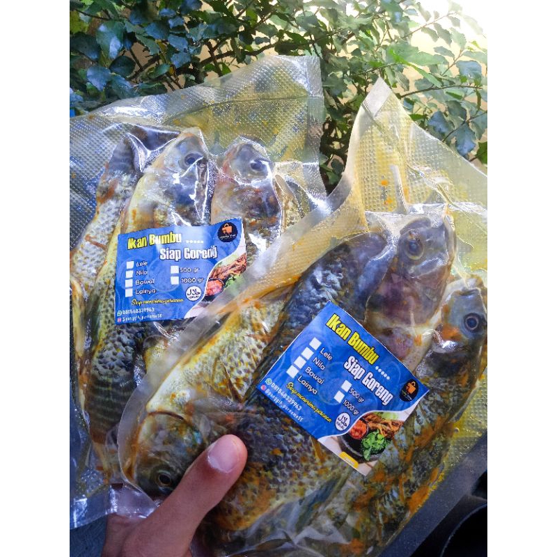 Ikan Bumbu Siap Goreng | Kemasan Vacum Sealer