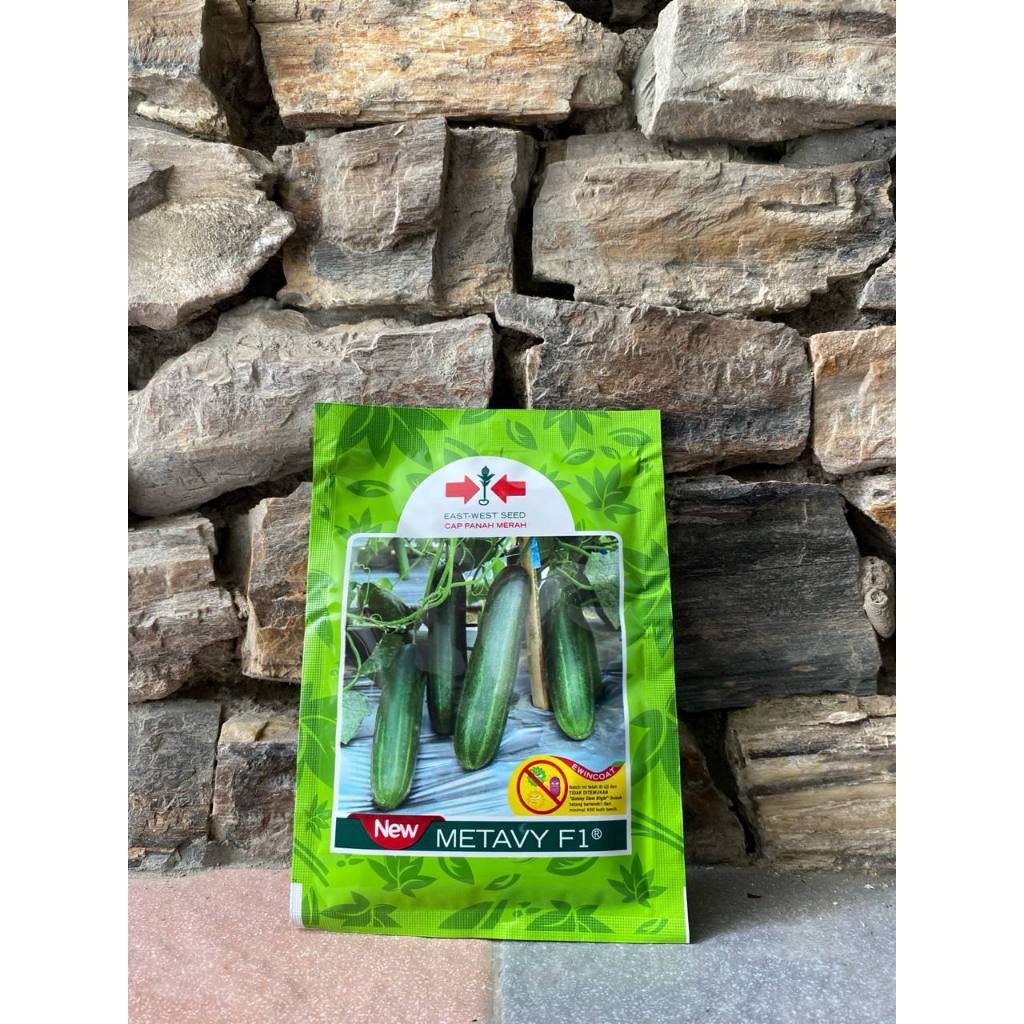 benih timun NEW METAVY F1