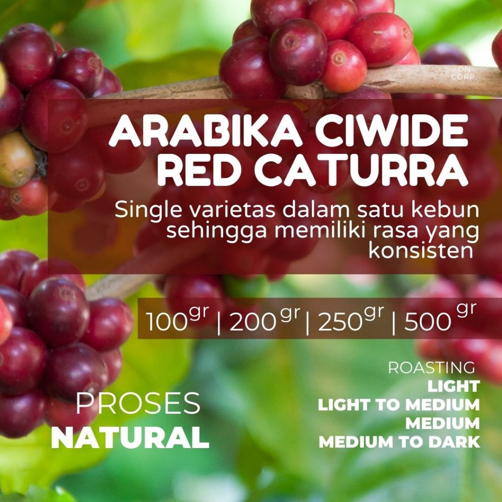 

ARABIKA RED CATURRA CIWIDE