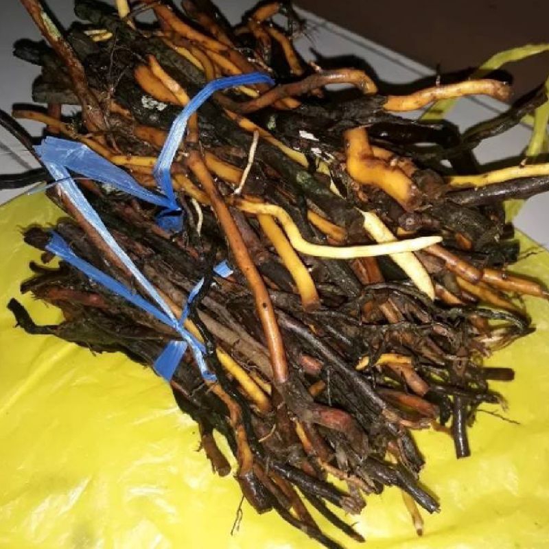 

Akar aren fresh 500 gram