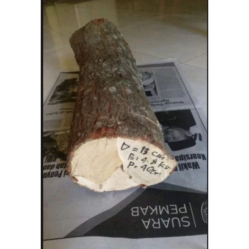 kayu cendana jawa bahan