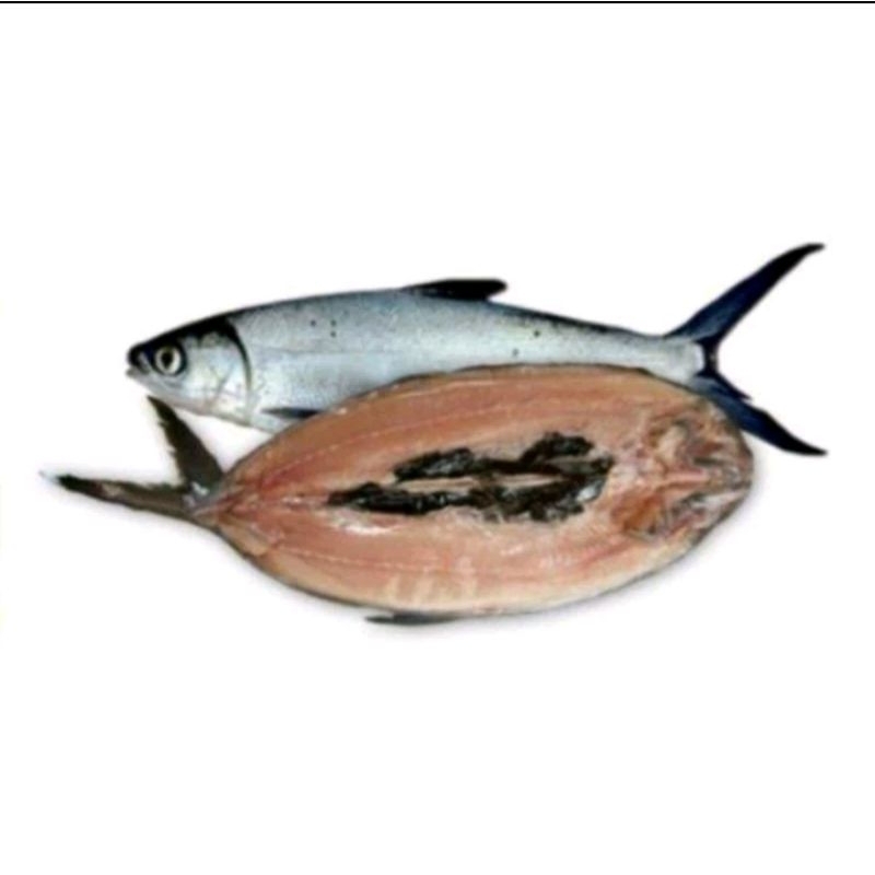 

Bandeng cabut duri 1 ekor