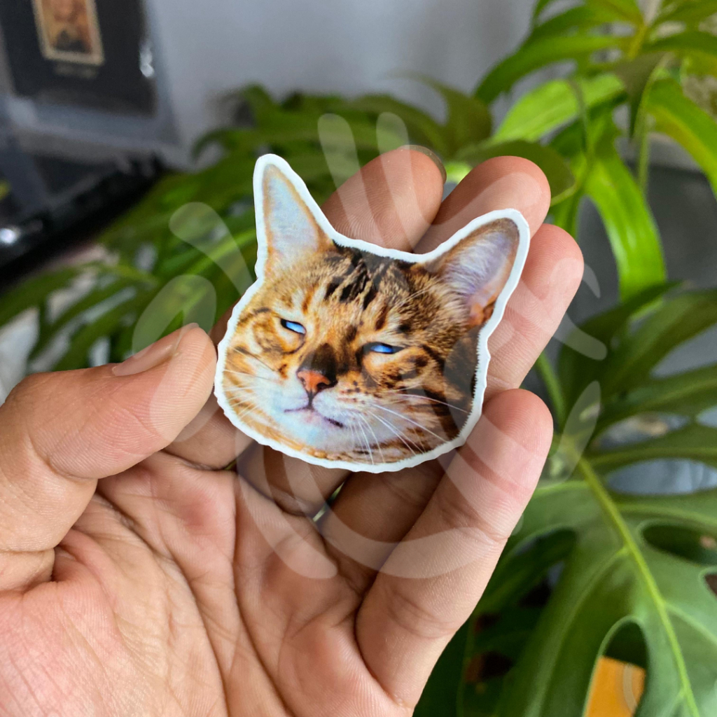 

stiker kucing / aesthetic sticker / sticker tumblr / aesthetic sticker / stiker hp / stiker laptop / stiker helm / stiker satuan / stiker tahan air / sticker pack