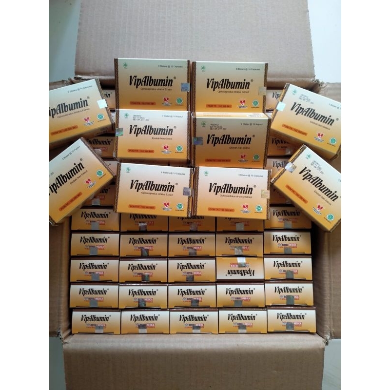 VIPALBUMIN KAPSUL ORIGINAL/ 1 BOX ISI 30 KAPSUL/Albumin/ Vipalbumin kapsul/ Suplemen/ Capsul ikan ga