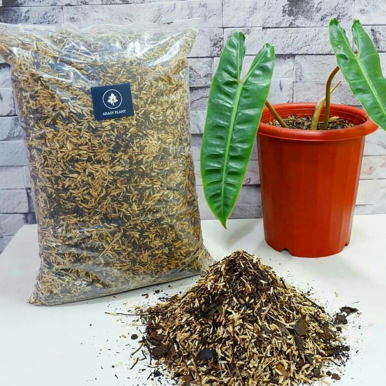 Sikat abis METAN ULTIMATE  MEDIA TANAM ORGANIK TERKOMPLIT 9 IN 1 SIAP PAKAI  MEDIA TANAM AGLONEMA