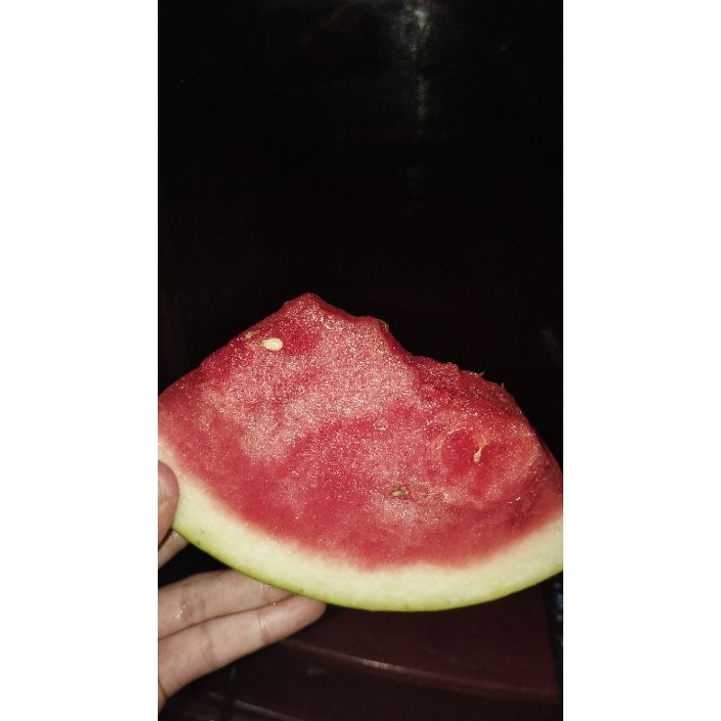 

semangka